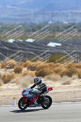 media/Jan-13-2024-SoCal Trackdays (Sat) [[9c032fe5aa]]/Turn 9 Backside (110pm)/